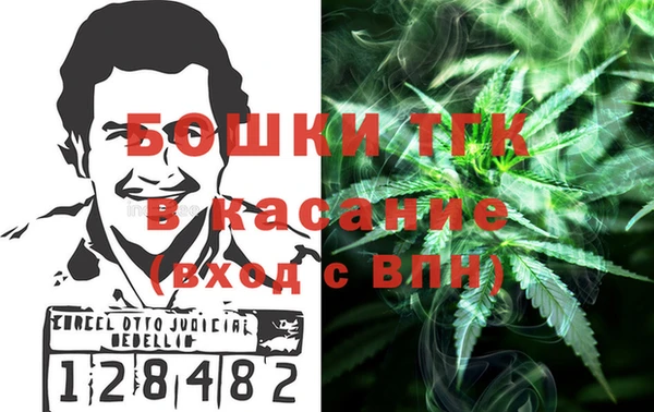 ПСИЛОЦИБИНОВЫЕ ГРИБЫ Алзамай