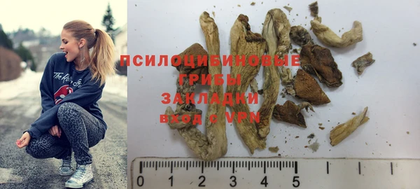 mix Алексин