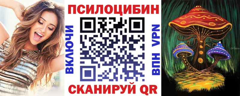 Псилоцибиновые грибы Cubensis  МЕГА   Берёзовка 
